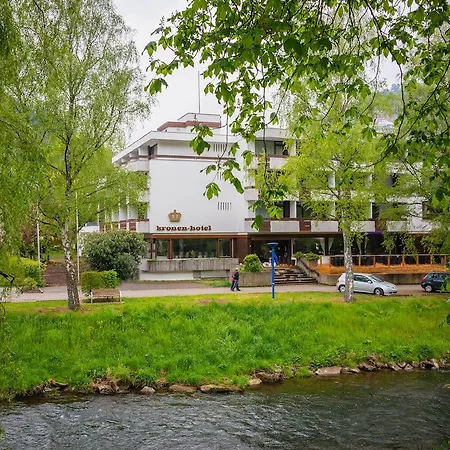 Hotel Kronen 3*